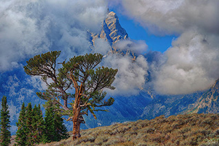 Anticipation in the Tetons fine art nature prints