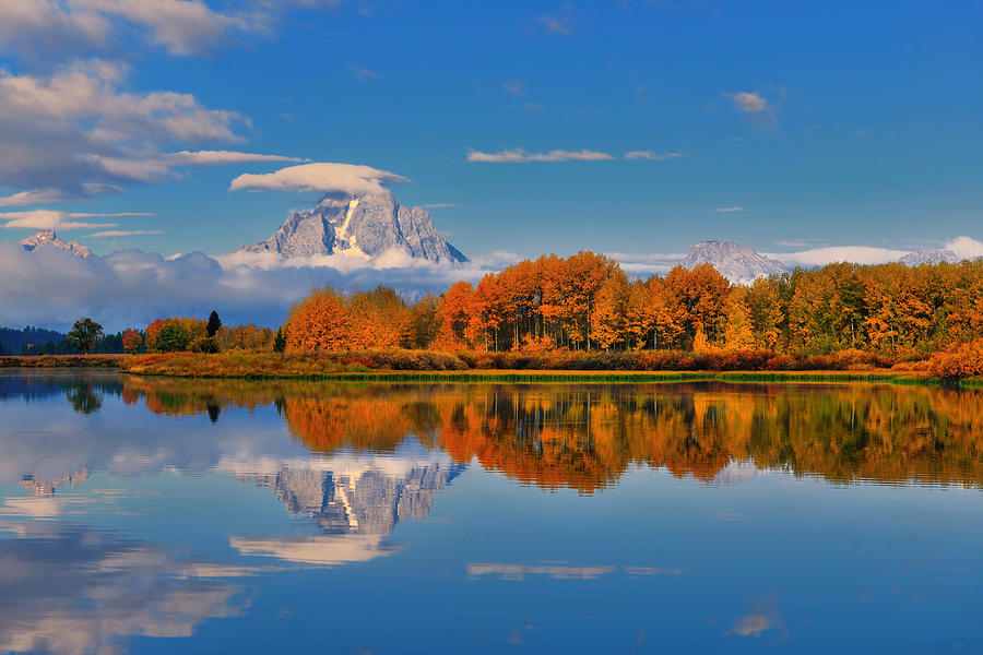 Reflections with peak autumn foliage at Oxbow Bend in Grand Teton National Park