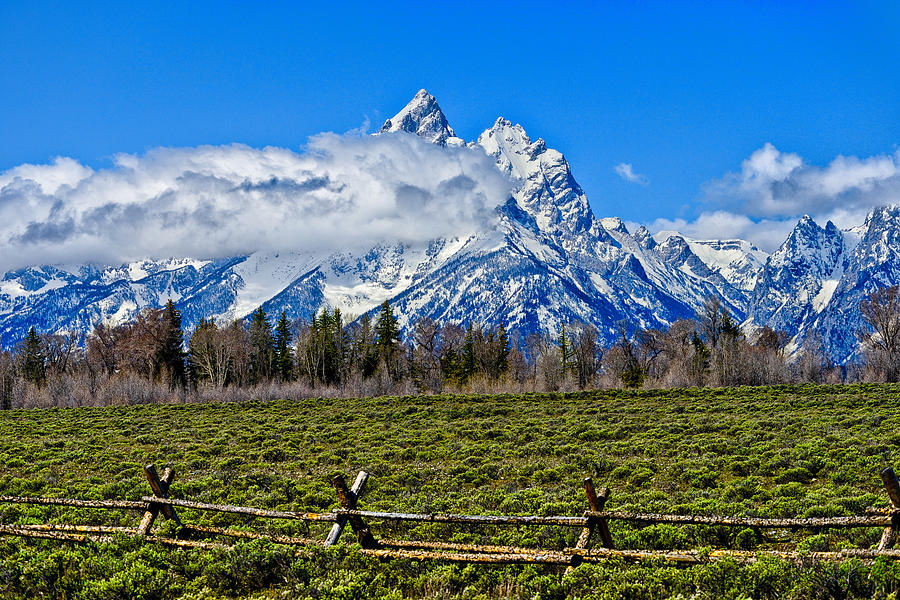 Cathedral Group in Grand Teton National Park