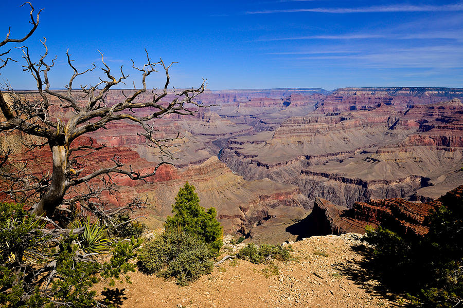 Grand Canyon South Rim Trail fine art prints