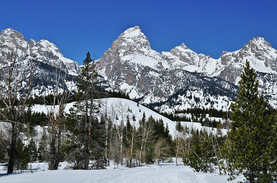 Grand Teton in Winter fine art nature prints