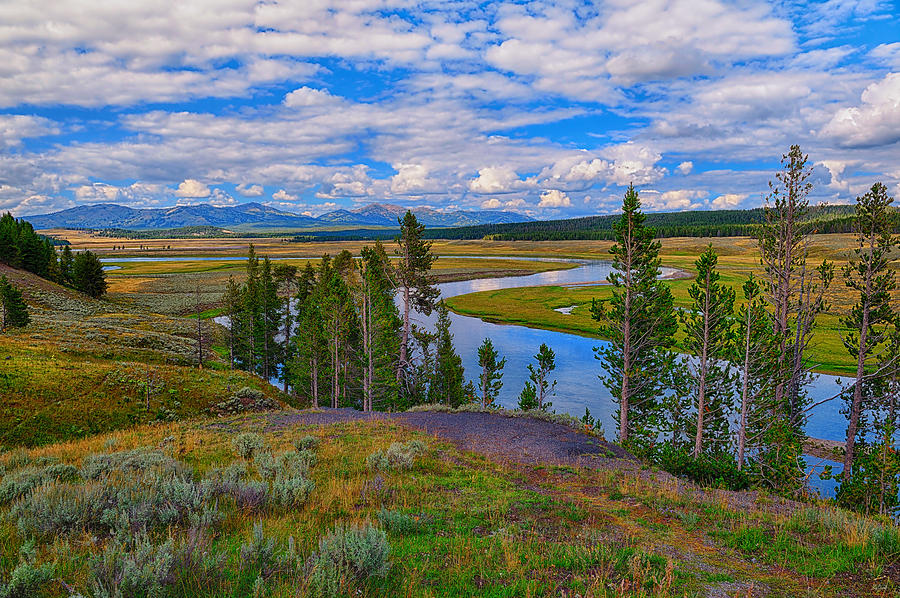 Yellowstone Hayden Valley fine art nature prints