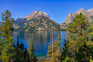 Jenny Lake Overlook fine art nature prints