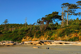 Kalaloch Beach fine art nature prints