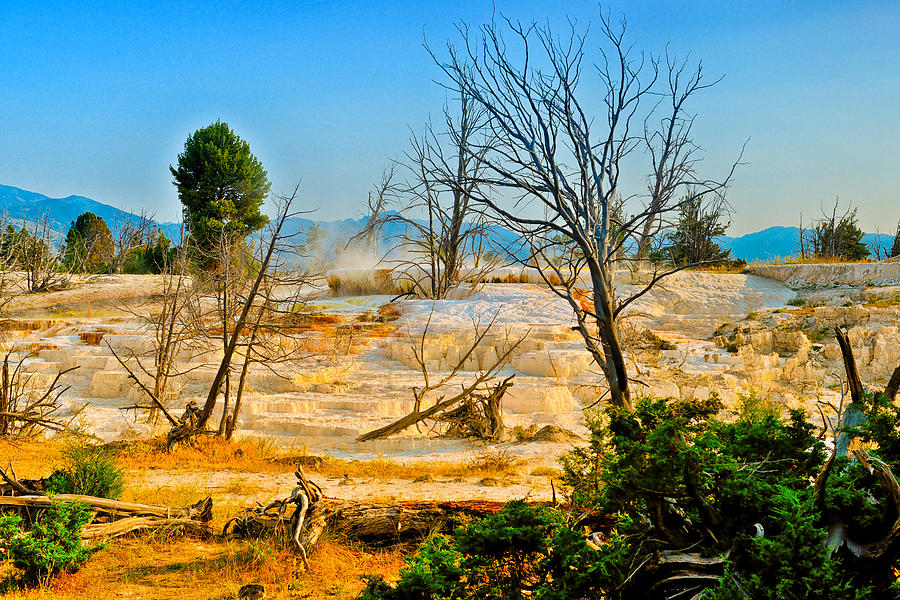 Mammoth Upper Terrace fine art nature prints