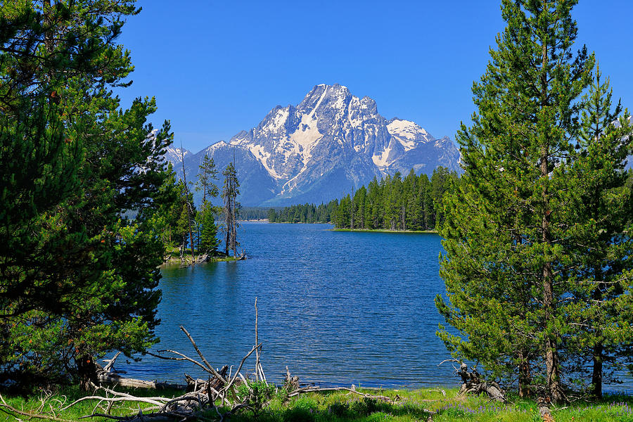 Mount Moran at Half Moon Bay fine art nature prints