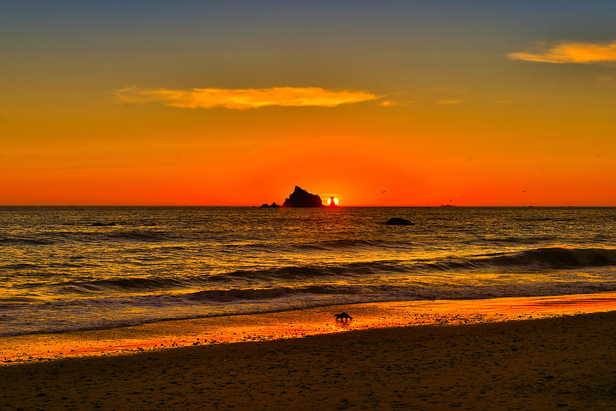 Pacific Sunset fine art nature prints