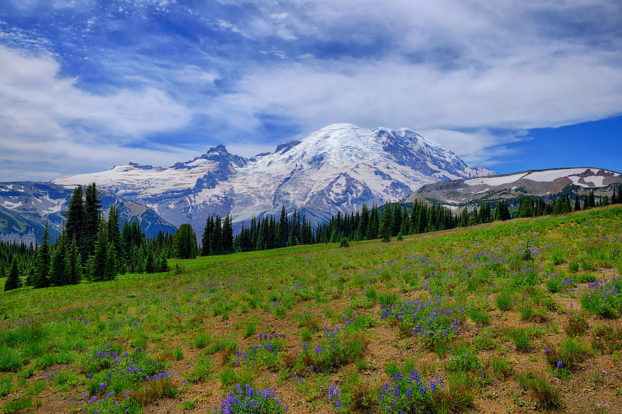 Rainier at Sunrise fine art nature prints