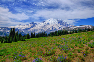 Rainier at Sunrise fine art nature prints