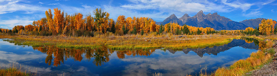 Autumn panoramic reflections at Schwabacher Landing in Grand Teton National Park