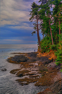 Standing by the Sea fine art nature prints