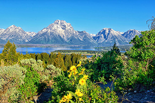 Teton Spring from Signal Mountain Summit in Grand Teton National Park fine art nature prints