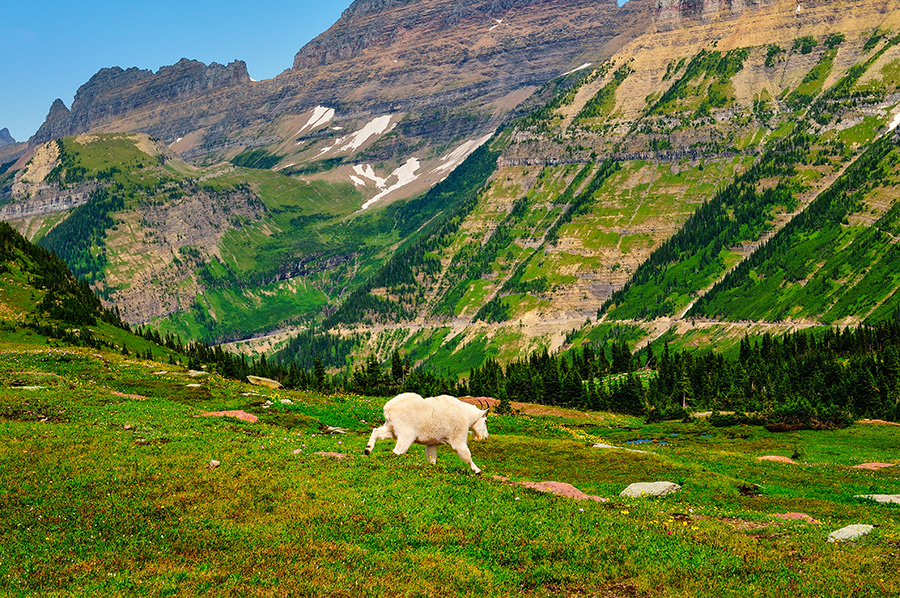 Glacier Logan Pass fine art nature prints