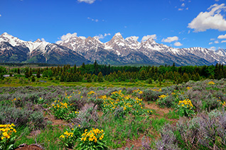 Grand Teton National Park in Springtime fine art nature prints