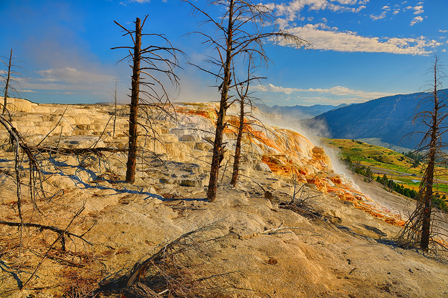 Yellowstone Canary Spring fine art nature prints