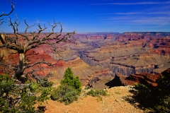 Grand Canyon South Rim Trail