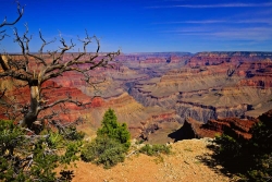 Grand Canyon South Rim Trail