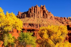 Autumn Beneath the Castle