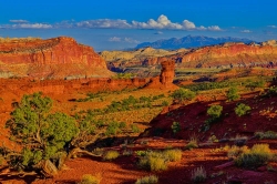 Capitol Reef Landscape