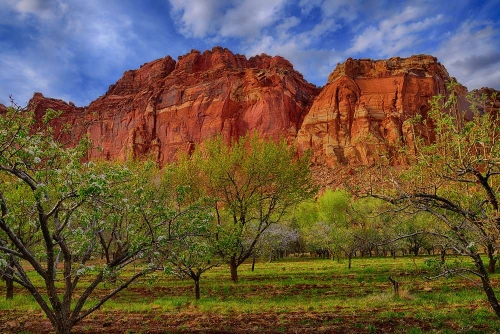 Fine Art Nature Photography from the American Southwest