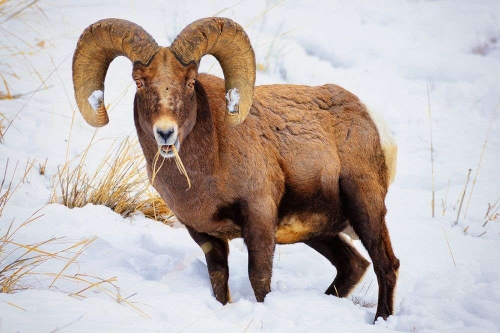 Fine Art Nature Photography Exclusive Limited Edition Prints