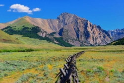 On The Fence