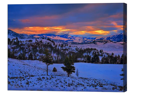 Yellowstone Winter Sunrise Canvas Print