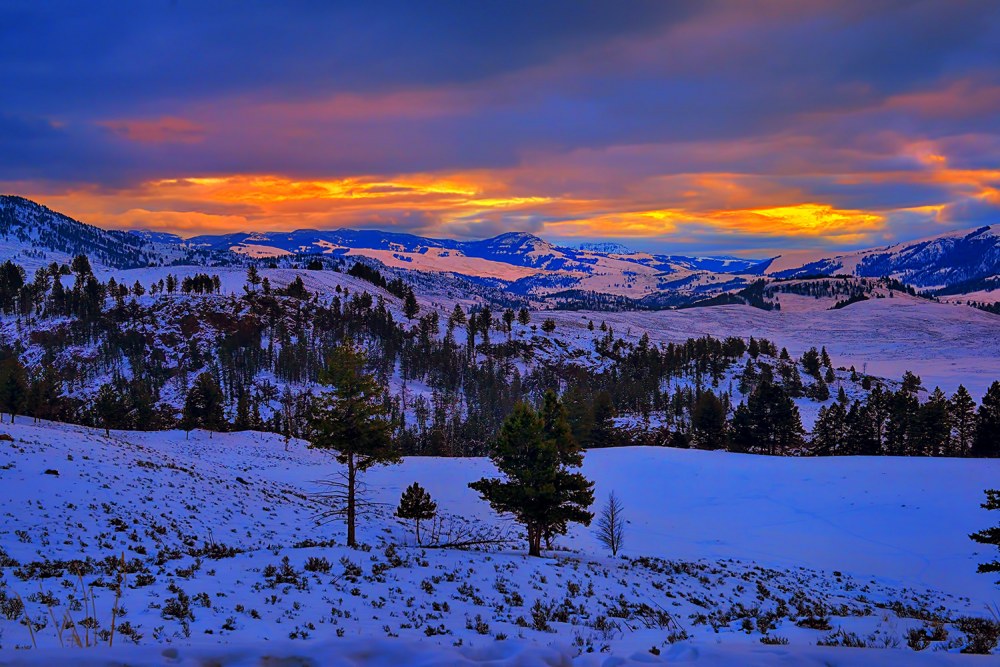 Yellowstone Winter Morning