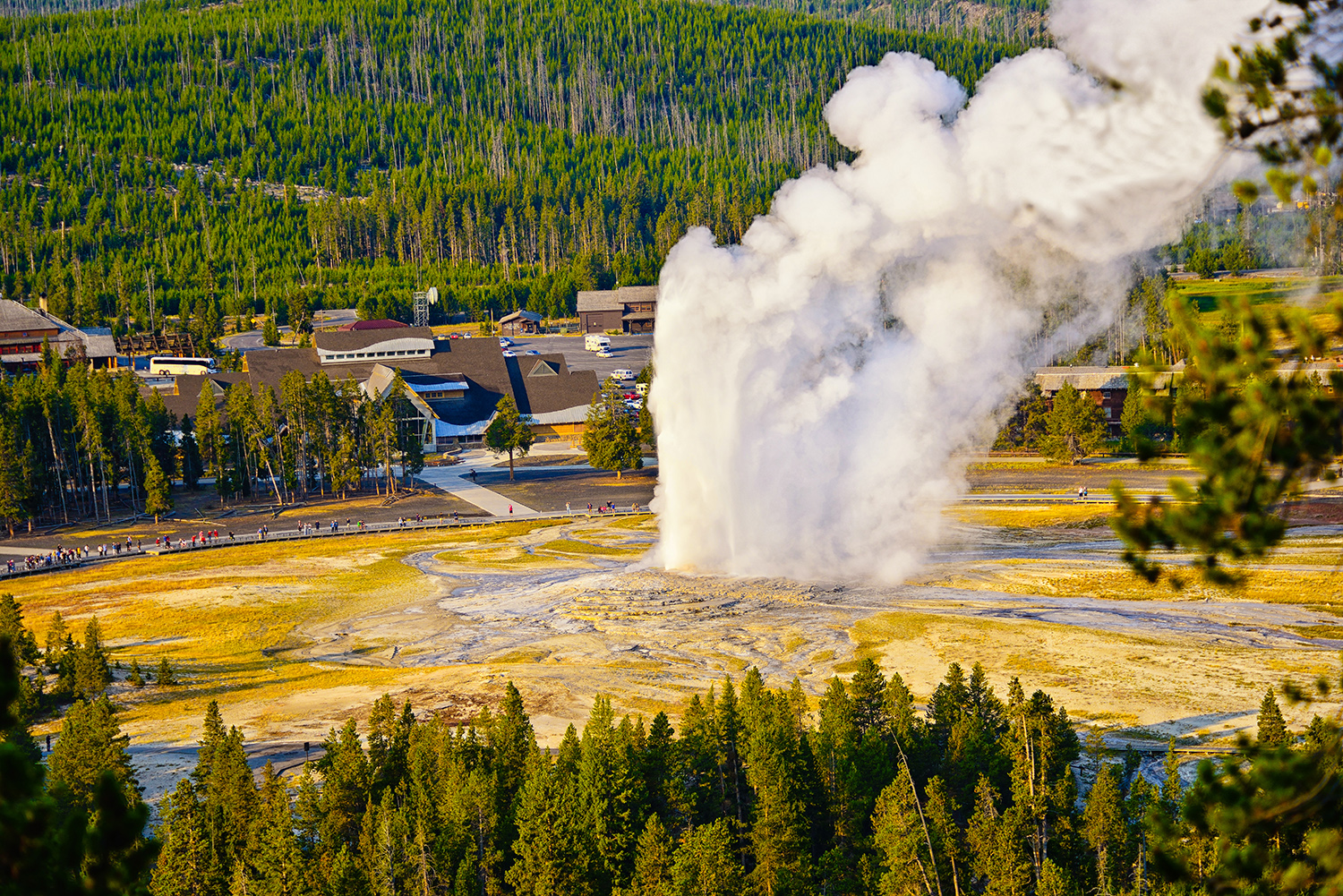 Old Faithful From Observation Point