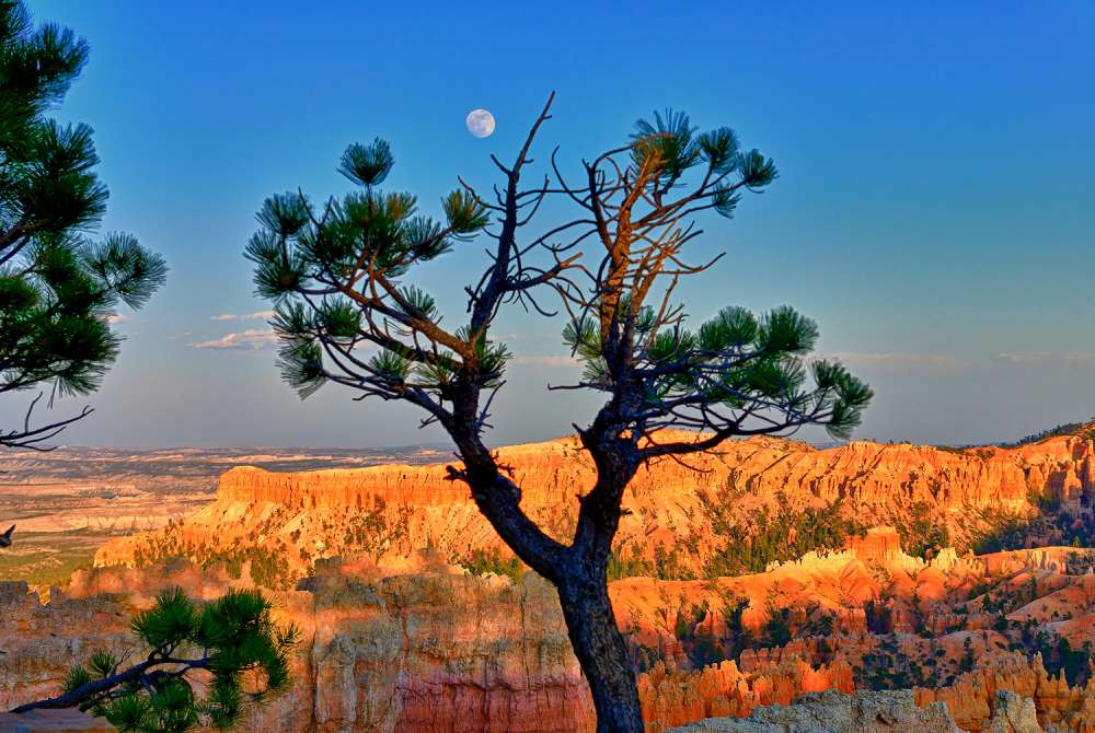 Moon Over Bryce