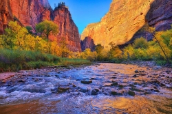 Zion Virgin River