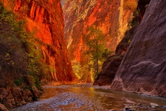 The Narrows