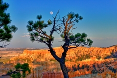 Moon Over Bryce